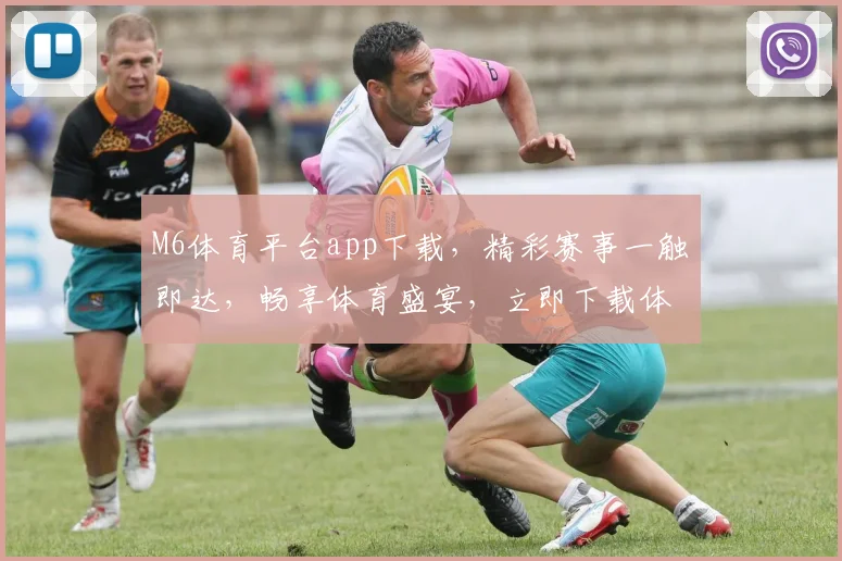 M6体育平台app下载，精彩赛事一触即达，畅享体育盛宴，立即下载体验